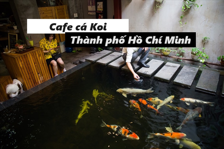 Quán cafe cá Koi thành phố Hồ Chí Minh địa chỉ dễ tìm