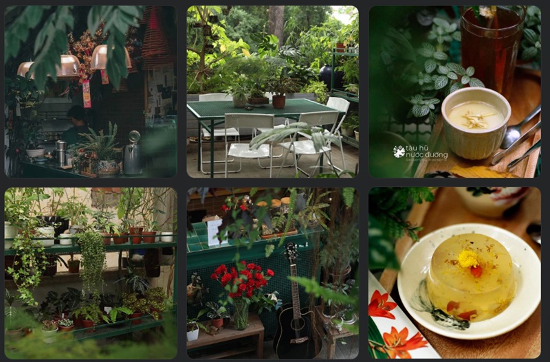 Quán cafe sân vườn quận 1 - Tiệm Cây Người Làm Vườn.