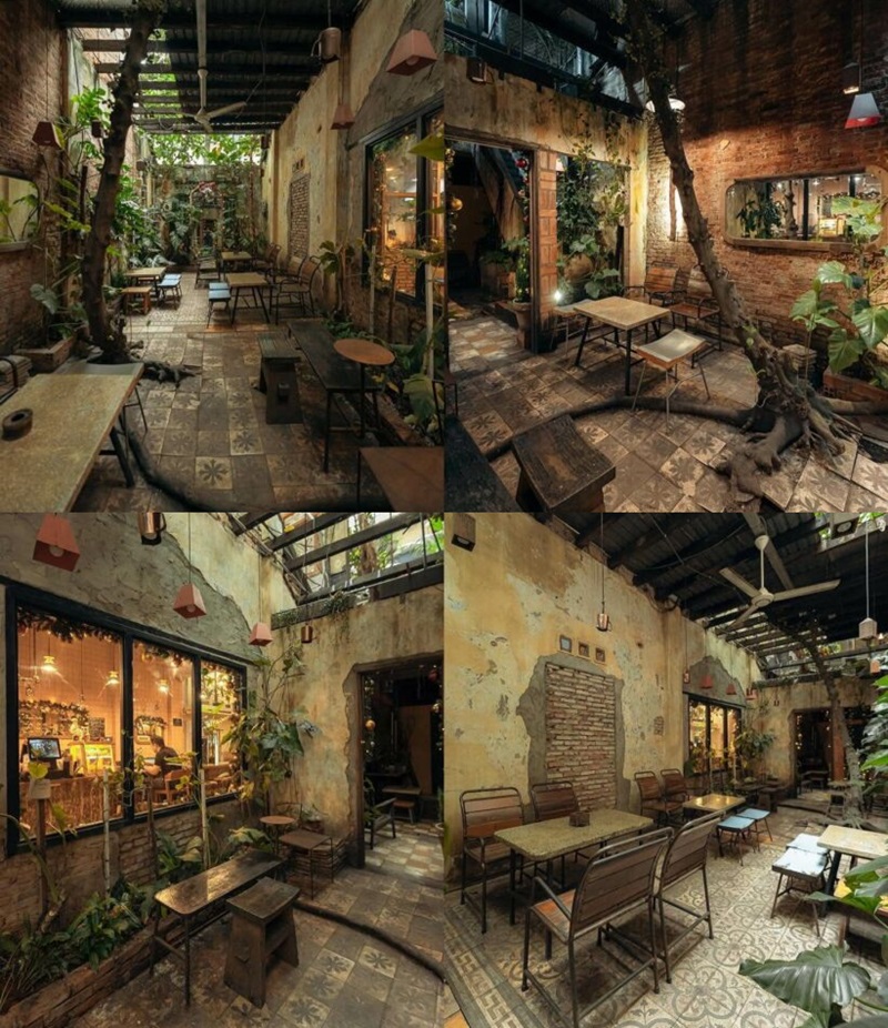 Barista Collective II - Quán cafe sân vườn quận 3 có phong cách dân dã.