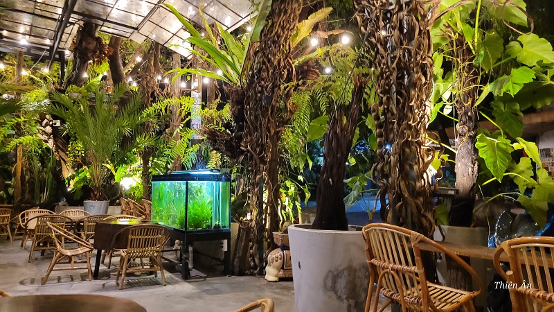 True - Quán cafe sân vườn đẹp ở Tân Phú.