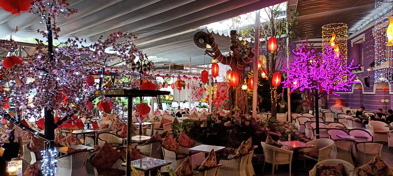 Đà Lạt Phố - Cafe sân vườn quận 11 độc đáo.